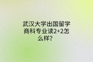 武漢大學(xué)出國留學(xué)商科專業(yè)讀2+2怎么樣？