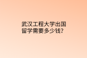 武漢工程大學(xué)出國(guó)留學(xué)需要多少錢(qián)？