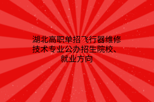 湖北高職單招飛行器維修技術(shù)專業(yè)公辦招生院校、就業(yè)方向