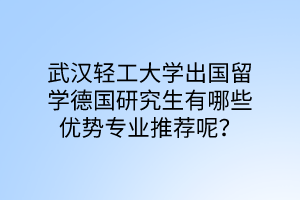 武漢輕工大學(xué)出國留學(xué)德國研究生有哪些優(yōu)勢專業(yè)推薦呢？