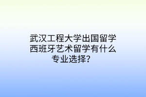 武漢工程大學(xué)出國留學(xué)西班牙藝術(shù)留學(xué)有什么專業(yè)選擇？