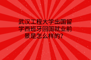 武漢工程大學(xué)出國留學(xué)西班牙回國就業(yè)前景是怎么樣的？
