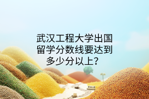 武漢工程大學(xué)出國留學(xué)分?jǐn)?shù)線要達(dá)到多少分以上？