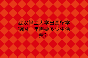 武漢輕工大學(xué)出國留學(xué)德國一年需要多少生活費？
