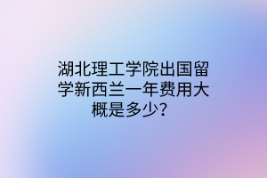 湖北理工學(xué)院出國留學(xué)新西蘭一年費用大概是多少？