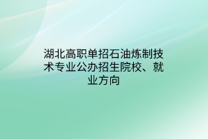 湖北高職單招石油煉制技術(shù)專業(yè)公辦招生院校、就業(yè)方向