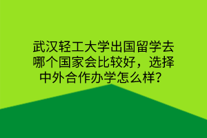 武漢輕工大學(xué)出國留學(xué)去哪個國家會比較好，選擇中外合作辦學(xué)怎么樣？