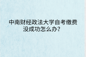中南財(cái)經(jīng)政法大學(xué)自考繳費(fèi)沒成功怎么辦？
