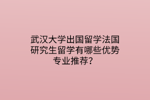 武漢大學出國留學法國研究生留學有哪些優(yōu)勢專業(yè)推薦？