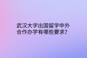 武漢大學出國留學中外合作辦學有哪些要求？