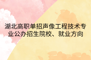 湖北高職單招聲像工程技術(shù)專業(yè)公辦招生院校、就業(yè)方向