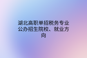 湖北高職單招稅務(wù)專業(yè)公辦招生院校、就業(yè)方向
