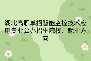湖北高職單招智能監(jiān)控技術(shù)應(yīng)用專業(yè)公辦招生院校、就業(yè)方向