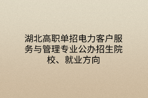 湖北高職單招電力客戶服務(wù)與管理專(zhuān)業(yè)公辦招生院校、就業(yè)方向