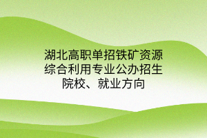 湖北高職單招鐵礦資源綜合利用專業(yè)公辦招生院校、就業(yè)方向