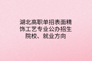 湖北高職單招表面精飾工藝專業(yè)公辦招生院校、就業(yè)方向