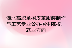 湖北高職單招皮革服裝制作與工藝專業(yè)公辦招生院校、就業(yè)方向