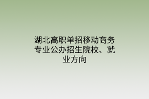 湖北高職單招移動商務(wù)專業(yè)公辦招生院校、就業(yè)方向