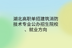 湖北高職單招建筑消防技術(shù)專業(yè)公辦招生院校、就業(yè)方向