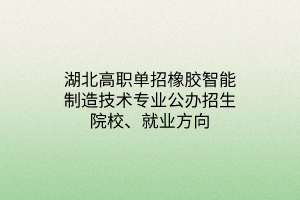 湖北高職單招橡膠智能制造技術(shù)專業(yè)公辦招生院校、就業(yè)方向