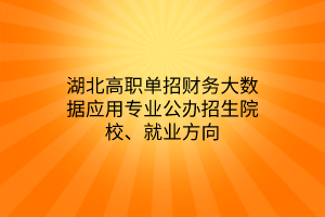 湖北高職單招財(cái)務(wù)大數(shù)據(jù)應(yīng)用專業(yè)公辦招生院校、就業(yè)方向