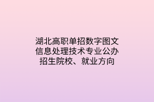 湖北高職單招數(shù)字圖文信息處理技術專業(yè)公辦招生院校、就業(yè)方向