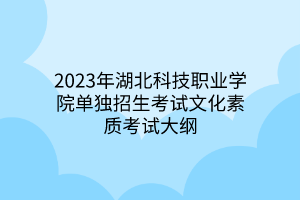 2023年湖北科技職業(yè)學(xué)院單獨(dú)招生考試文化素質(zhì)考試大綱