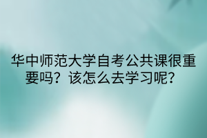 華中師范大學(xué)自考公共課很重要嗎？該怎么去學(xué)習(xí)呢？