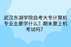 武漢東湖學(xué)院自考大專(zhuān)計(jì)算機(jī)專(zhuān)業(yè)主要學(xué)什么？期末要上機(jī)考試嗎？