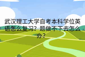 武漢理工大學(xué)自考本科學(xué)位英語怎么復(fù)習(xí)？題做不下去怎么辦？