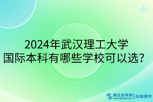 2024年武漢理工大學(xué)國(guó)際本科有哪些學(xué)?？梢赃x？