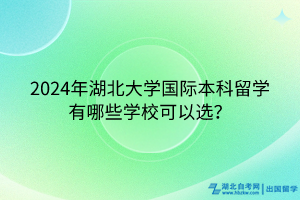 2024年湖北大學(xué)國際本科留學(xué)有哪些學(xué)校可以選？