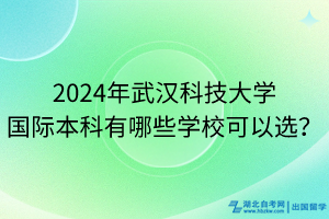 2024年武漢科技大學(xué)國際本科有哪些學(xué)?？梢赃x？