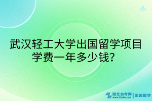 武漢輕工大學出國留學項目學費一年多少錢？