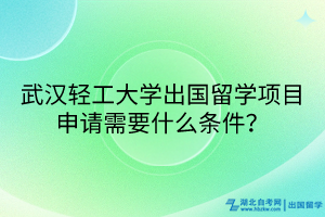武漢輕工大學(xué)出國留學(xué)項目申請需要什么條件？