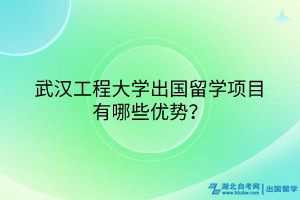 武漢工程大學(xué)出國留學(xué)項(xiàng)目有哪些優(yōu)勢？