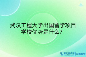 武漢工程大學(xué)出國(guó)留學(xué)項(xiàng)目學(xué)校優(yōu)勢(shì)是什么？