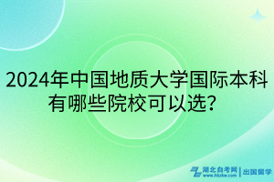 2024年中國地質(zhì)大學國際本科有哪些院校可以選？