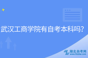 武漢工商學院有自考本科嗎？