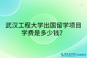 武漢工程大學(xué)出國留學(xué)項目學(xué)費是多少錢？