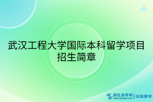 武漢工程大學(xué)國際本科留學(xué)項(xiàng)目招生簡(jiǎn)章