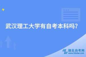 武漢理工大學有自考本科嗎？