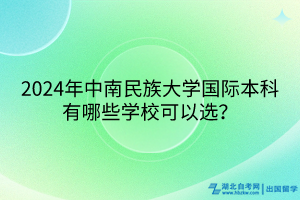 2024年中南民族大學(xué)國(guó)際本科有哪些學(xué)校可以選？