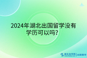 2024年湖北出國(guó)留學(xué)沒有學(xué)歷可以嗎？