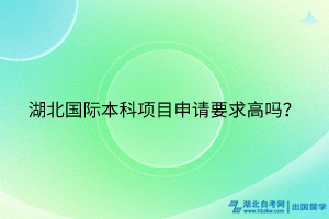 湖北國際本科項目申請要求高嗎？