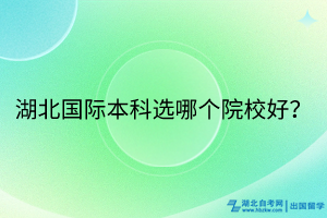 湖北國(guó)際本科選哪個(gè)院校好？