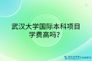 武漢大學國際本科項目學費高嗎？
