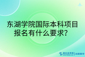 東湖學(xué)院國際本科項目報名有什么要求？