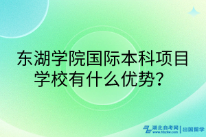 東湖學(xué)院國際本科項目學(xué)校有什么優(yōu)勢？