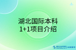 湖北國際本科1+1項(xiàng)目介紹